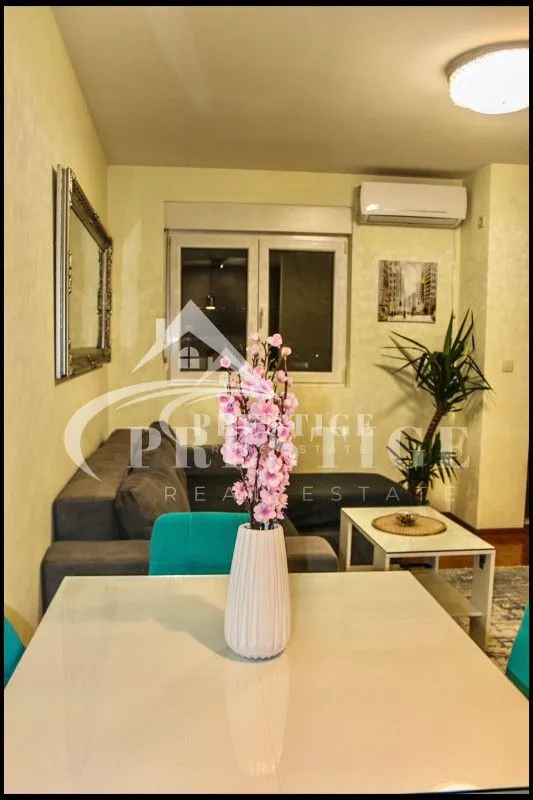 Izdavanje, jednosoban stan, 43m², Stari Aerodrom, Podgorica
