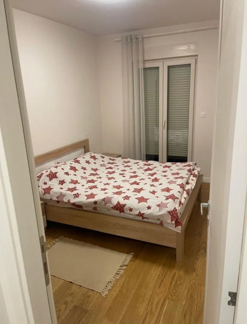Izdavanje, jednosoban stan, 47m², Central Point, Podgorica
