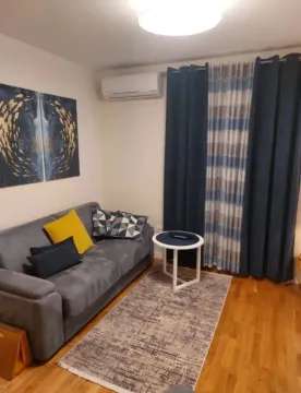 Rent, one bedroom apartment, 40m², Zabjelo, Podgorica - image 4