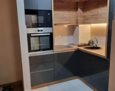 Izdavanje, jednosoban stan, 43m², Central Point, Podgorica - image 1