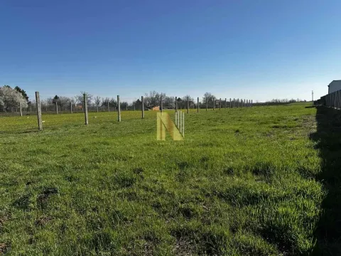 Pogled na ograđeno građevinsko zemljište sa travom. - image 4