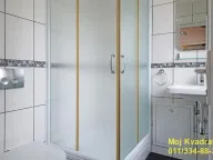 Rent, house, 205m², Karaburma, Palilula Sve Podlokacije - image 11