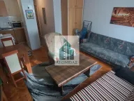 Izdavanje, garsonjera, 28m², Medijana, Niš - image 3