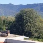 Prodaja, kuća, 300m², Lješevići, Kotor - image 13