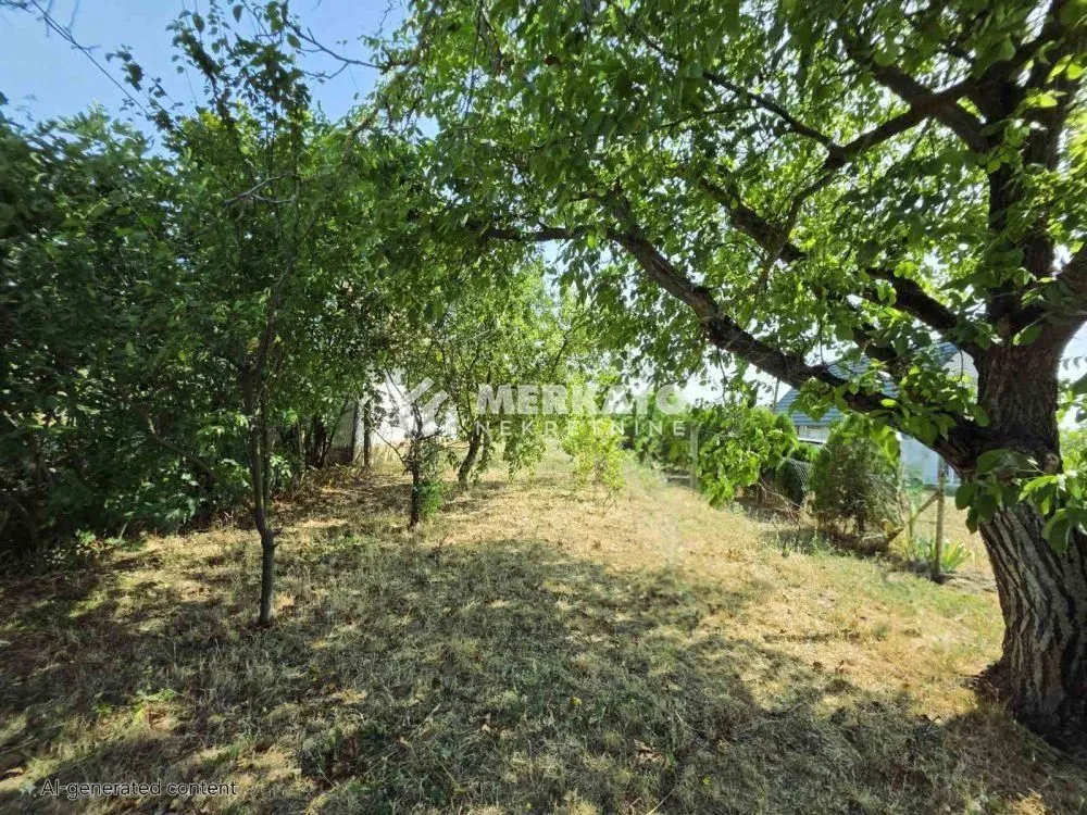 Prodaja, plac, 3100m², Bagljaš, Zrenjanin