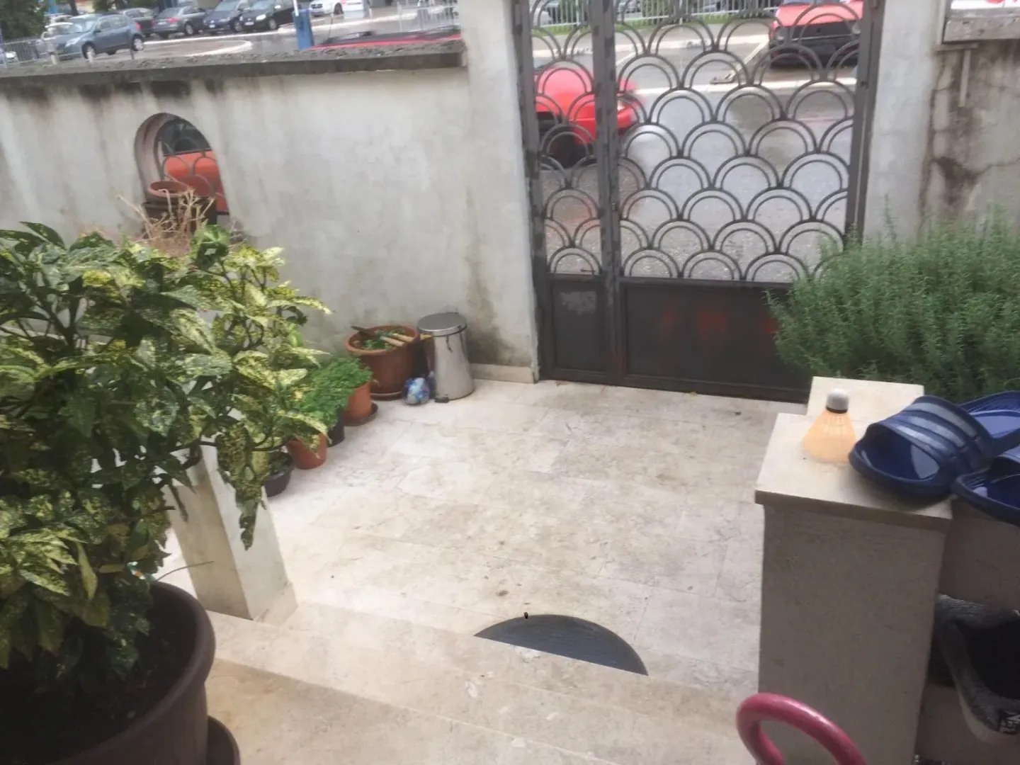 Paved courtyard at the entrance with decorative plants and a metal gate.