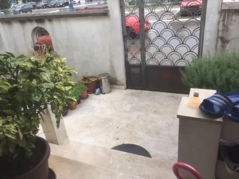 Paved courtyard at the entrance with decorative plants and a metal gate. - image 2