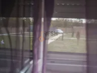 Prodaja, kuća, 400m², Ostalo, Podgorica - image 14