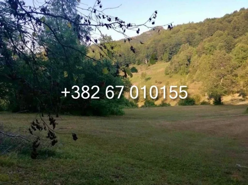 Sale, land lot, 74000m², Štitarica, Mojkovac