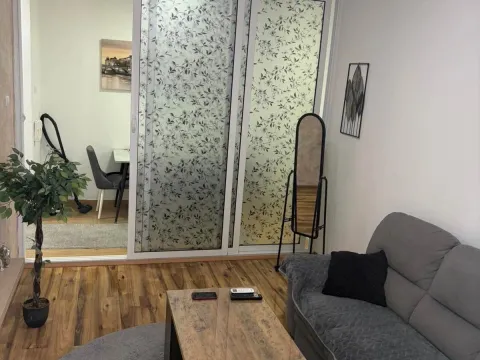 Rent, one bedroom apartment, 50m², Preko Morače, Podgorica - image 1