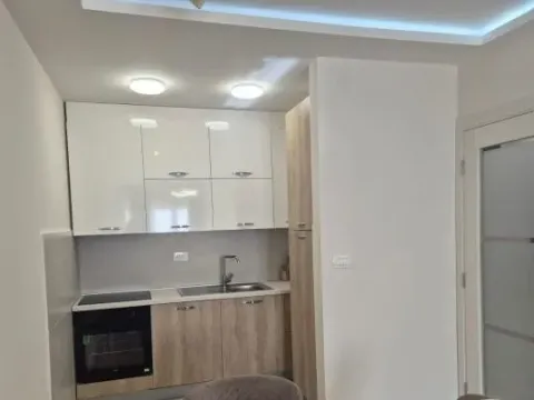 Izdavanje, jednosoban stan, 47m², Central Point, Podgorica - image 5