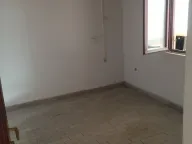 Izdavanje, poslovni prostor, 500m², Altina, Beograd - image 5