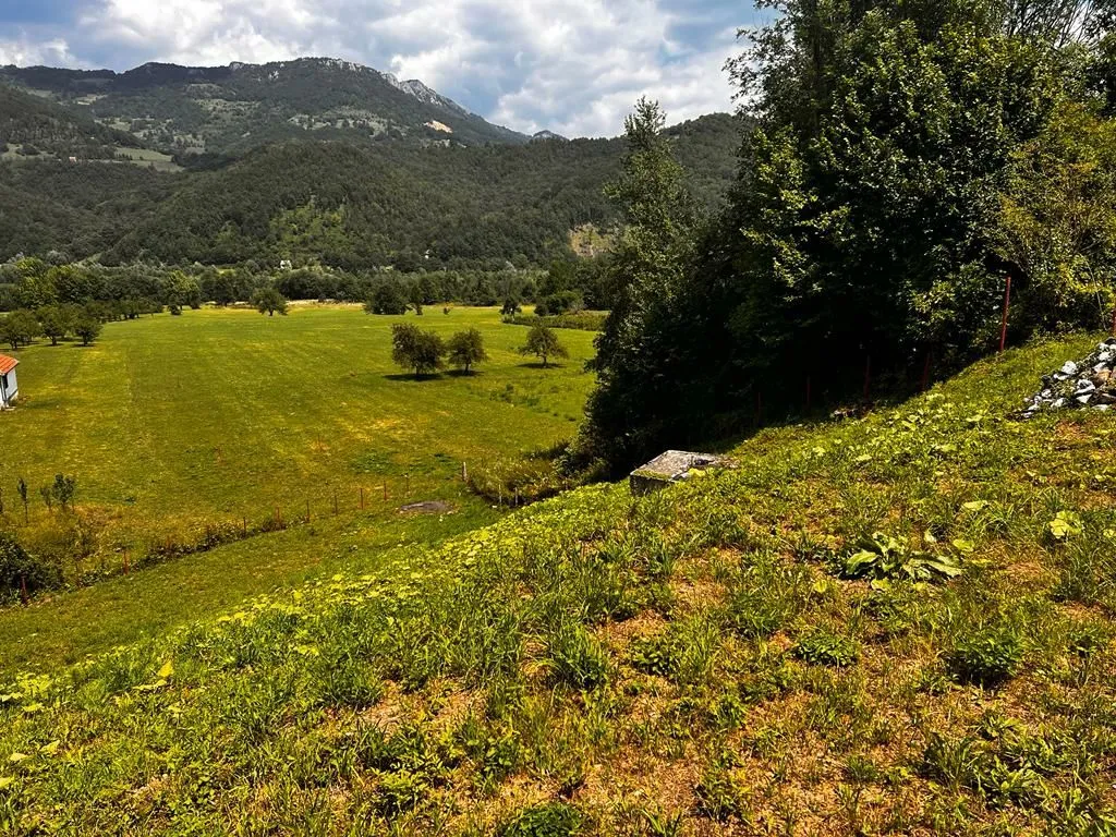 Sale, land lot, 2500m², Mojkovac, Crna Gora