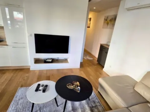 Izdavanje, jednosoban stan, 45m², Blok 9, Podgorica - image 9