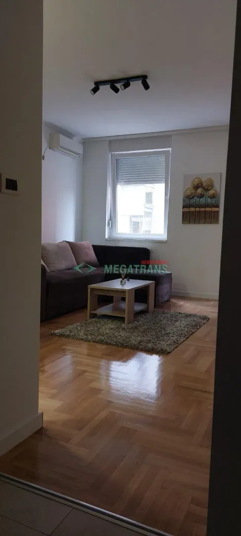 Izdavanje, dvosoban stan, 50m², Centar, Novi Sad