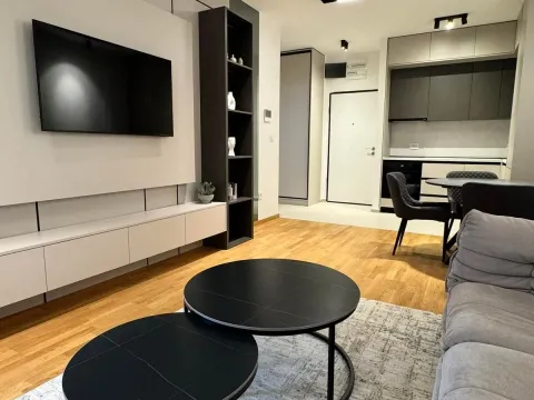 Izdavanje, jednosoban stan, 48m², Stari Aerodrom, Podgorica - image 5