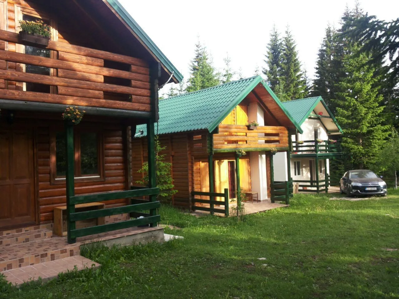 Drvene brvnare u nizu okružene borovom šumom.