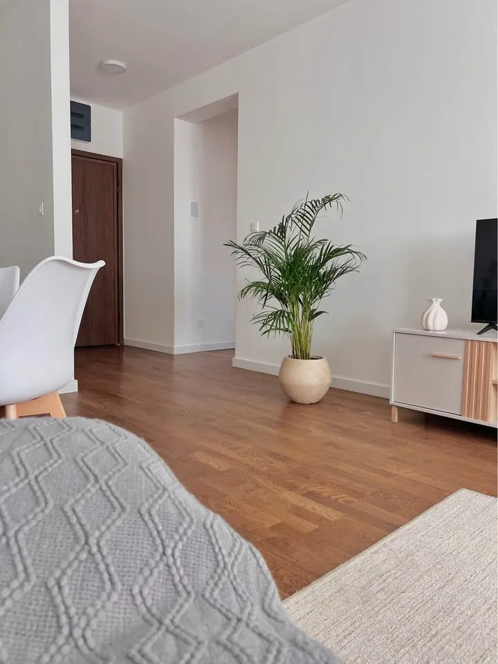 Rent, one bedroom apartment, 45m², Stari Aerodrom, Podgorica