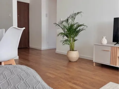 Rent, one bedroom apartment, 45m², Stari Aerodrom, Podgorica - image 3