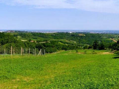 Prodaja, plac, 5600m², Novi Sad, Srbija - image 9