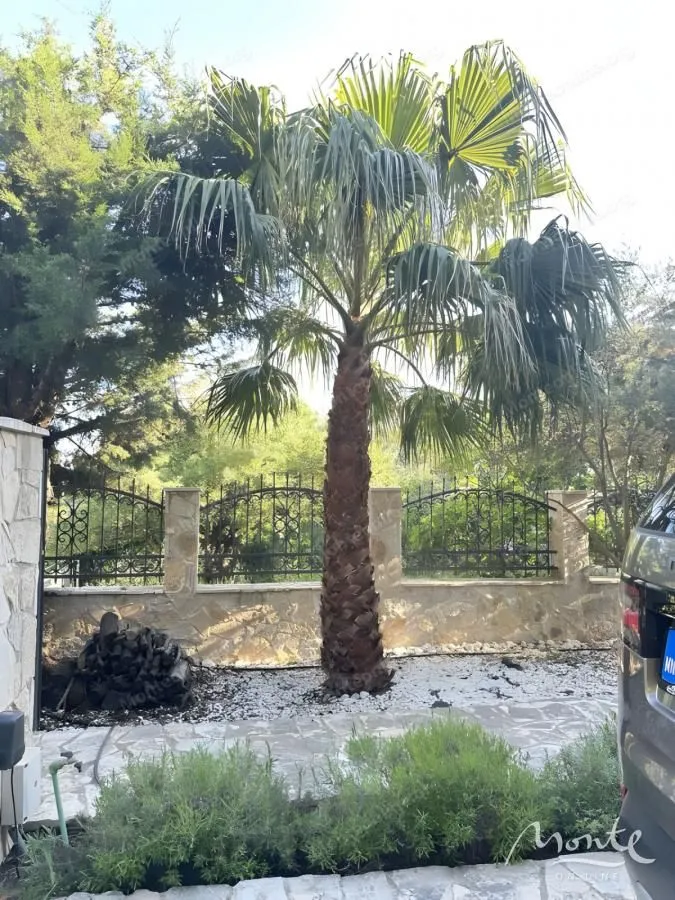 Sale, house, 183m², Sutomore, Bar