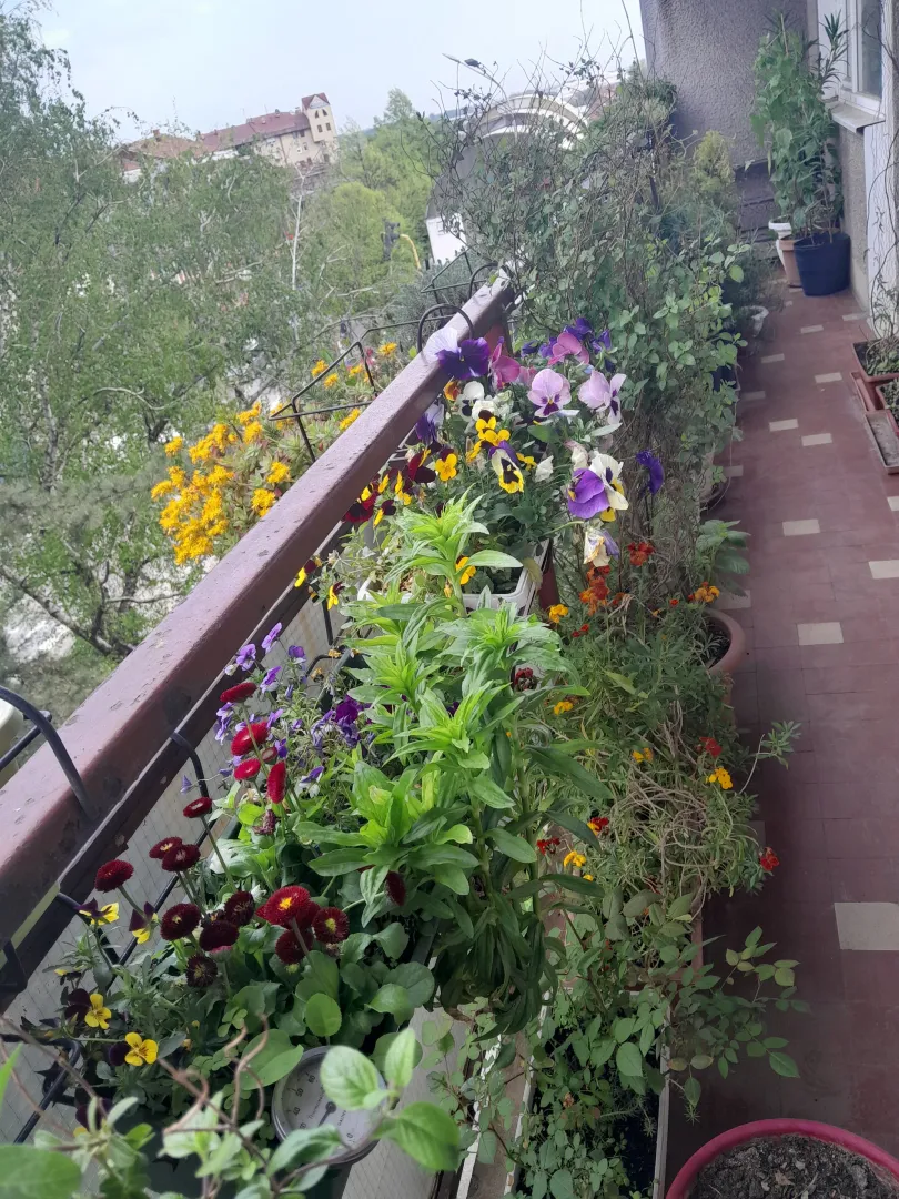 Sale, four bedroom apartment, 85m², Centar, Smederevo