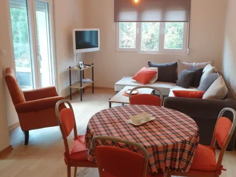 Rent, one bedroom apartment, 42m², Bijeli Do, Budva - image 1