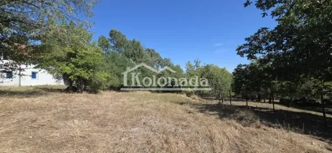 Zeleno dvorište sa stablima i delom kuće u pozadini. - image 17