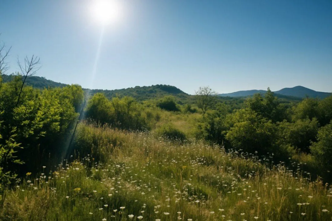 Prodaja, plac, 30962m², Lješanska Nahija, Podgorica