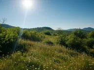 Sale, land lot, 30962m², Lješanska Nahija, Podgorica - image 7