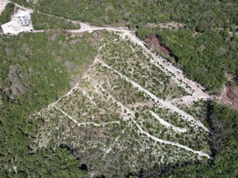 Sale, land lot, 3542m², Višnjevo, Kotor - image 2