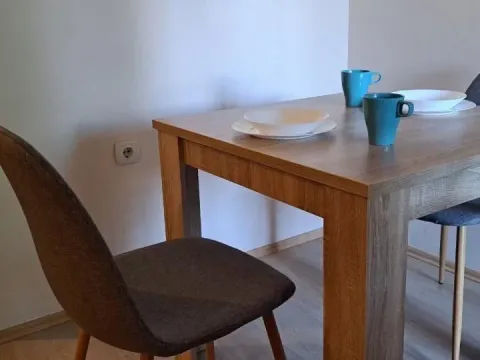 Izdavanje, dvosoban stan, 52m², Stari Grad, Beograd - image 7