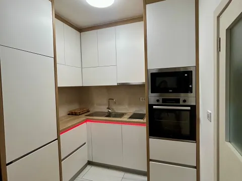 Izdavanje, jednosoban stan, 45m², Stari Aerodrom, Podgorica - image 1