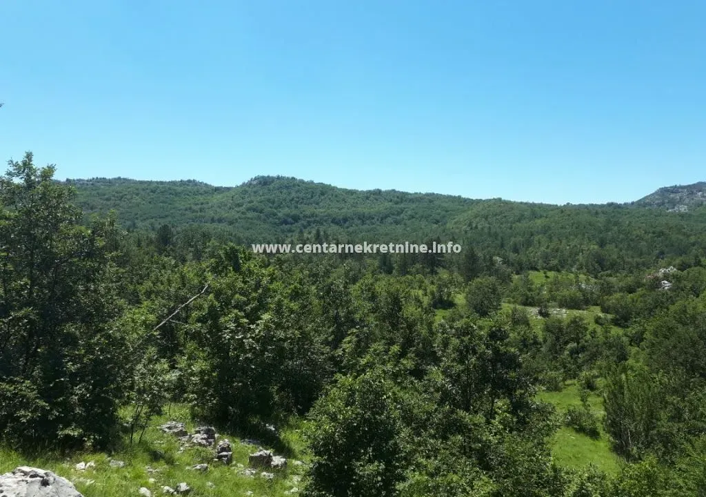 Prodaja, plac, 136000m², Brijestovo, Danilovgrad