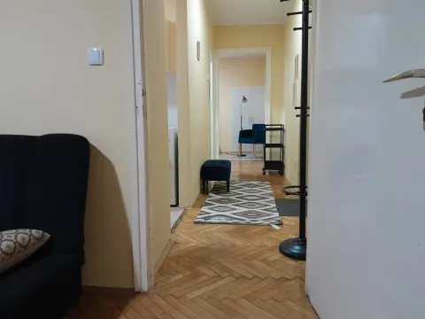 Sale, two bedroom apartment, 49m², Vračar Centar, Vračar Sve Podlokacije - image 8