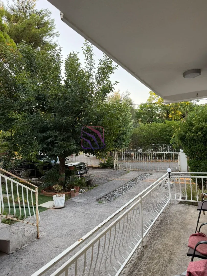 Pogled sa terase na dvorište i kapiju.