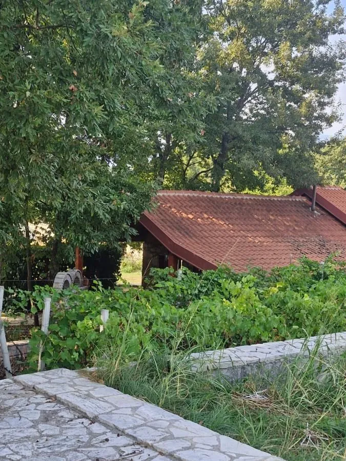 Prodaja, plac, 7300m², Spuž, Danilovgrad
