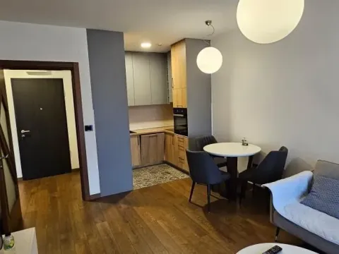 Izdavanje, jednosoban stan, 48m², Ljubović, Podgorica - image 4