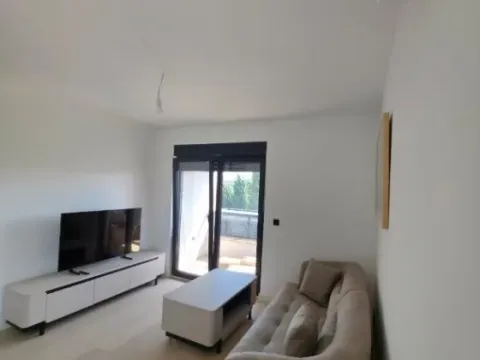 Izdavanje, dvosoban stan, 69m², Krivi Most, Podgorica - image 13