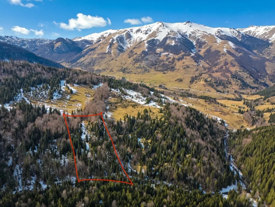 Prodaja, plac, 11000m², Centar, Kolašin