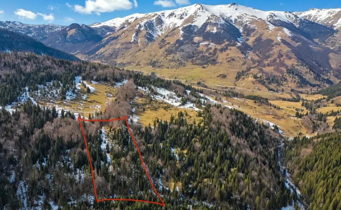 Sale, land lot, 11000m², Centar, Kolašin