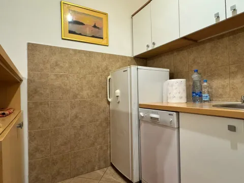 Izdavanje, jednosoban stan, 50m², Zabjelo, Podgorica - image 2