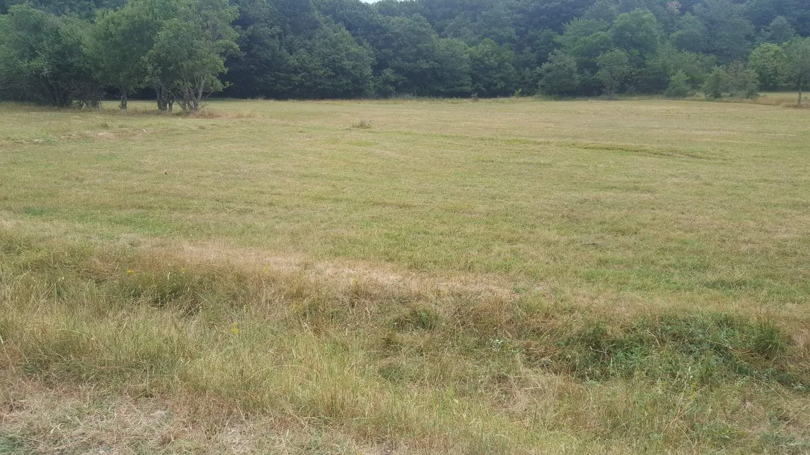 Prodaja, plac, 515m², Bar, Crna Gora