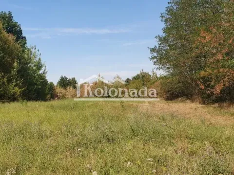 Prodaja, plac, 4721m², Sopot, Beograd - image 2