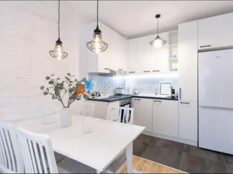 Rent, two bedroom apartment, 43m², Južni Bulevar, Vračar Sve Podlokacije - image 6