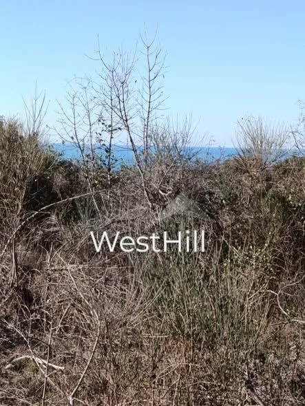 Prodaja, plac, 10076m², Utjeha, Bar