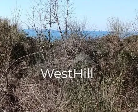 Zemljište in Utjeha