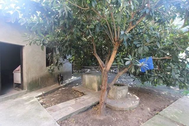 Sale, house, 115m², Muo, Kotor