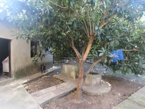 Sale, house, 115m², Muo, Kotor - image 3