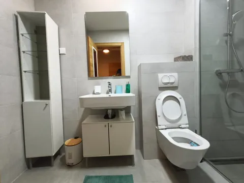Modern bathroom with a sink, toilet, and walk-in shower. - image 14